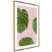 Wall Poster Fragment of Exoticism - tropical green monstera leaves on a pink background 127062 additionalThumb 7