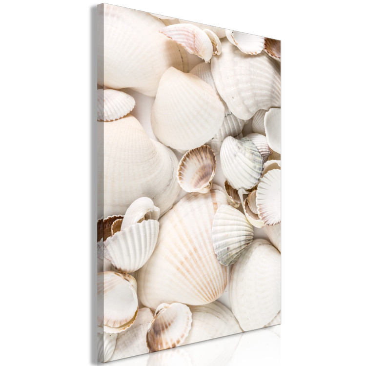 Canvas Marine Collection (1-part) vertical - landscape of various sea shells 129462 additionalImage 2