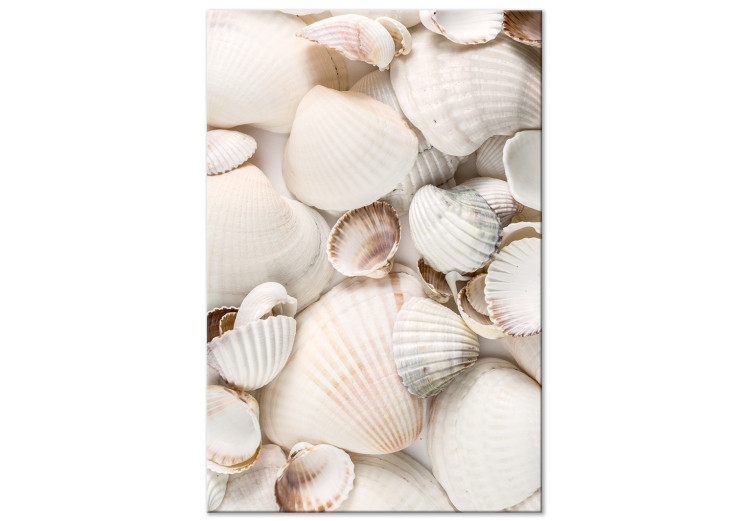 Canvas Marine Collection (1-part) vertical - landscape of various sea shells 129462