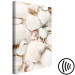 Canvas Marine Collection (1-part) vertical - landscape of various sea shells 129462 additionalThumb 6
