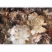 Wall Mural Abstract - nature with flowers in shades of brown and a flash effect 131762 additionalThumb 5