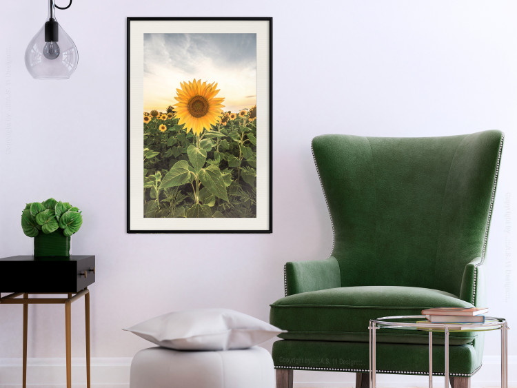 Wall Poster Sunflower Field - meadow full of yellow flowers against a bright sky 135762 additionalImage 25