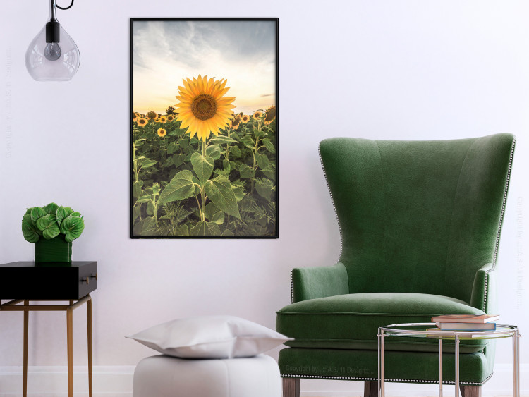 Wall Poster Sunflower Field - meadow full of yellow flowers against a bright sky 135762 additionalImage 4