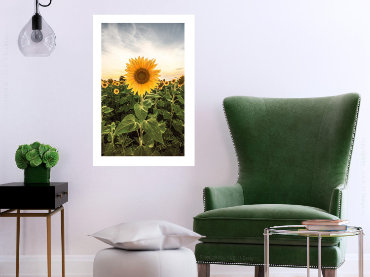 Wall Poster Sunflower Field - meadow full of yellow flowers against a bright sky 135762 additionalImage 5