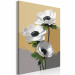 Paint by number White Anemone 138662 additionalThumb 7