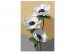 Paint by number White Anemone 138662 additionalThumb 5