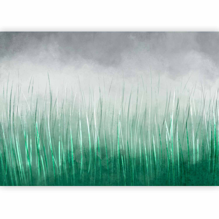 Wall Mural Tall grass - landscape with painted meadow effect against a grey sky 143762 additionalImage 1