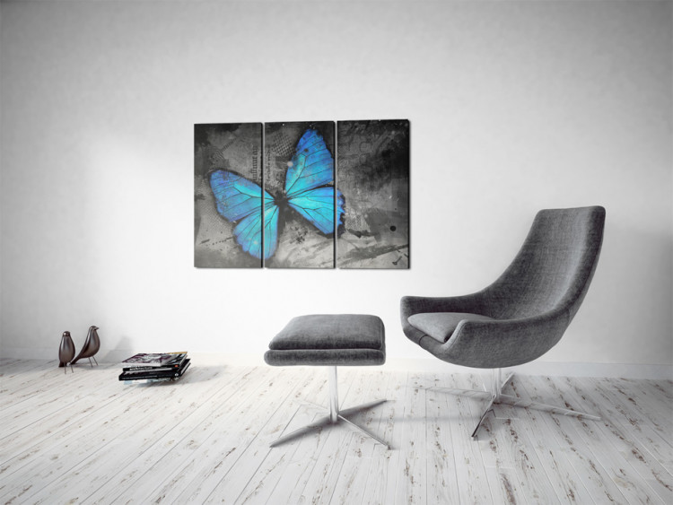 Canvas The study of butterfly - triptych 50362 additionalImage 3
