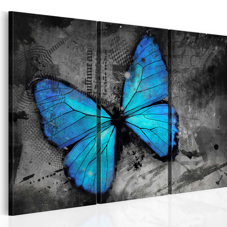 Canvas The study of butterfly - triptych 50362 additionalImage 2