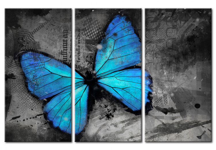 Canvas The study of butterfly - triptych 50362
