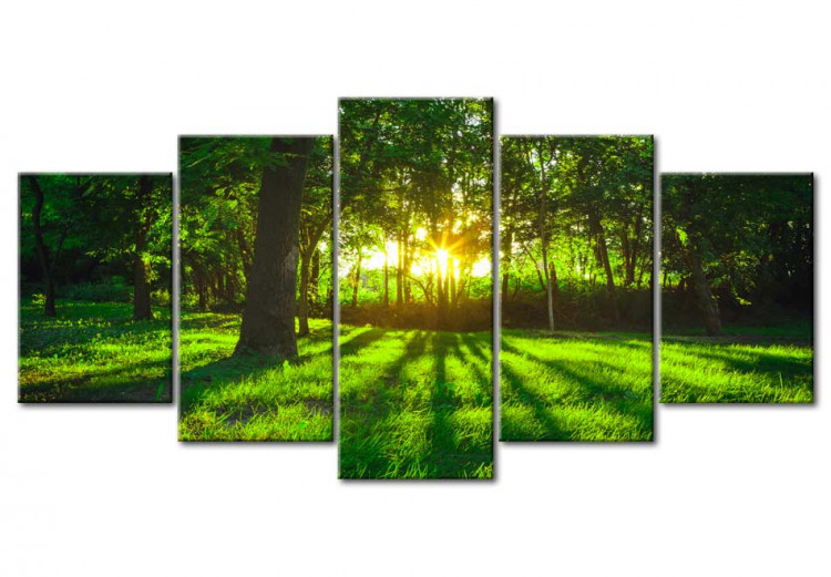 Canvas Art Print Morning in the forest 61762