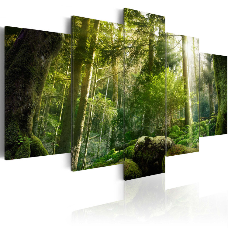 Canvas  The Beauty of the Forest 62462 additionalImage 2