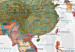 Decorative Pinboard Travel Around the World [Cork Map] 97362 additionalThumb 6
