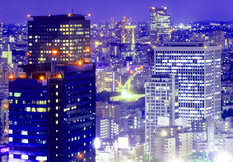 Canvas Print City of Lights (5-piece) - Tokyo's High-Rise Buildings Under Night Cover 98562 additionalImage 5