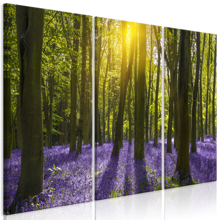 Canvas Print Hyacinth Field (3 Parts) 108172 additionalImage 2