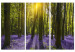 Canvas Print Hyacinth Field (3 Parts) 108172