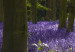 Canvas Print Hyacinth Field (3 Parts) 108172 additionalThumb 5