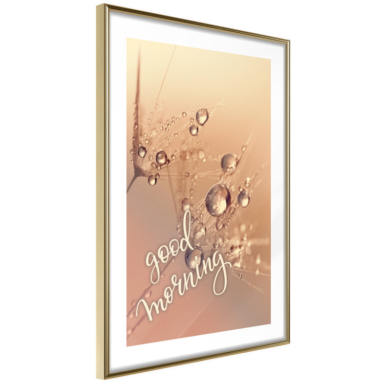 Wall Poster Good morning - water drops on dandelions and warm-colored background 116372 additionalImage 6