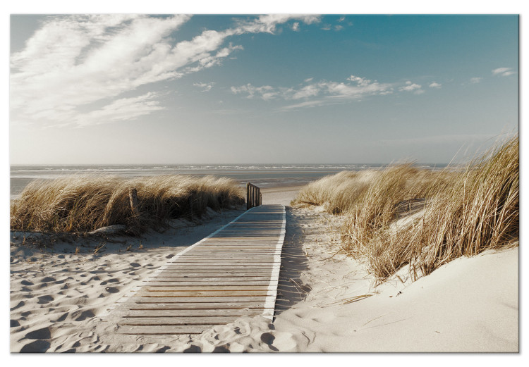 Canvas Print Path to the Beach (1-part) - Summer Sky Over Sandy Shore 117272