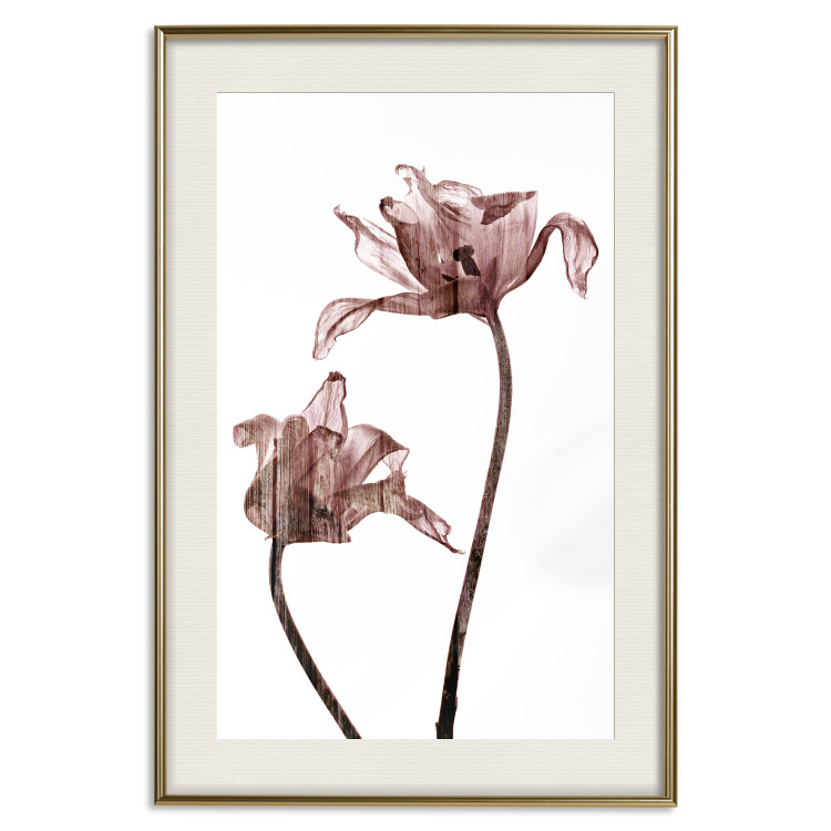 Poster Translucent Closeness - botanical composition with powdery pink flowers 118272 additionalImage 23