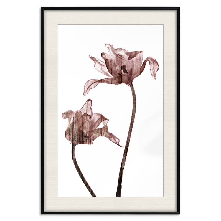 Poster Translucent Closeness - botanical composition with powdery pink flowers 118272 additionalImage 22