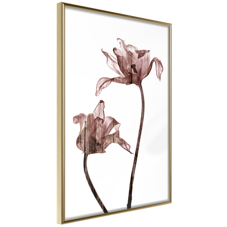 Poster Translucent Closeness - botanical composition with powdery pink flowers 118272 additionalImage 14