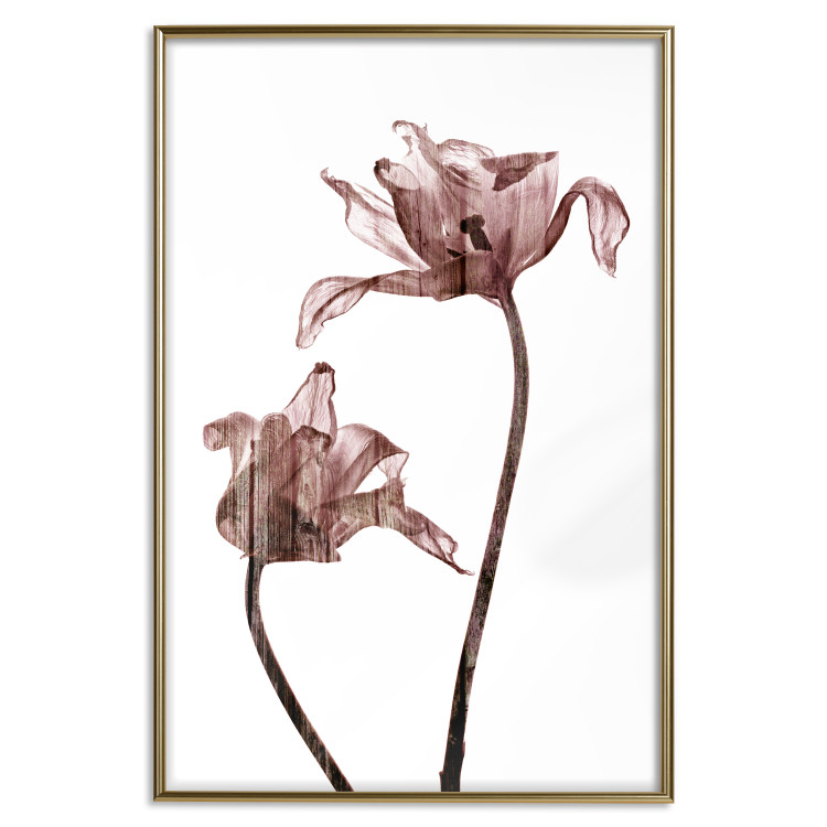 Poster Translucent Closeness - botanical composition with powdery pink flowers 118272 additionalImage 18