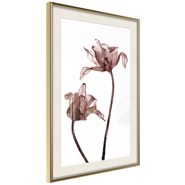 Poster Translucent Closeness - botanical composition with powdery pink flowers 118272 additionalImage 2