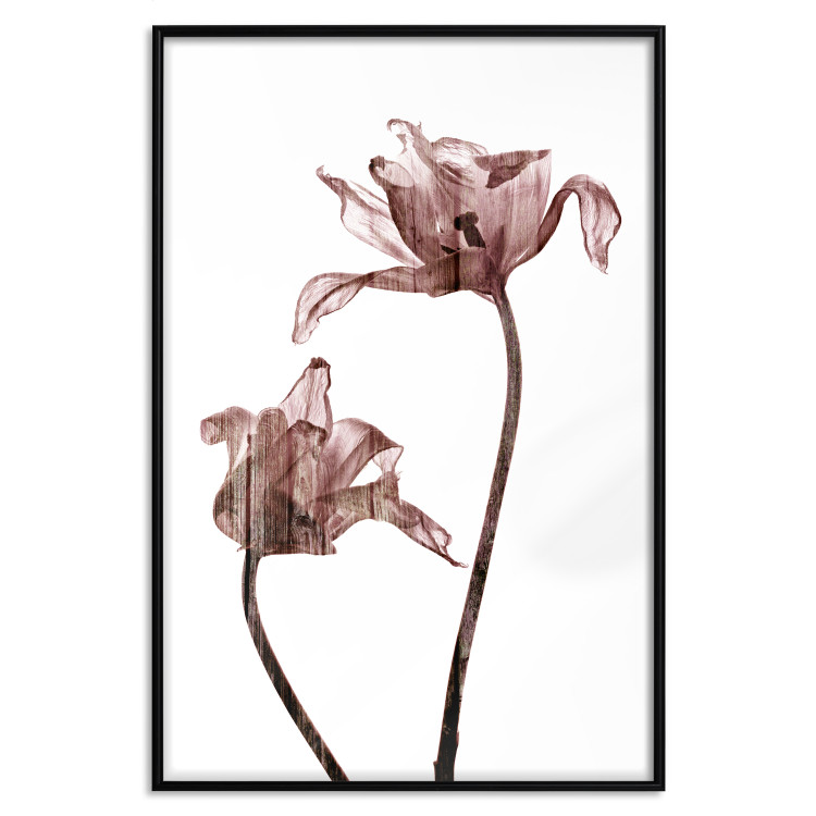Poster Translucent Closeness - botanical composition with powdery pink flowers 118272 additionalImage 17