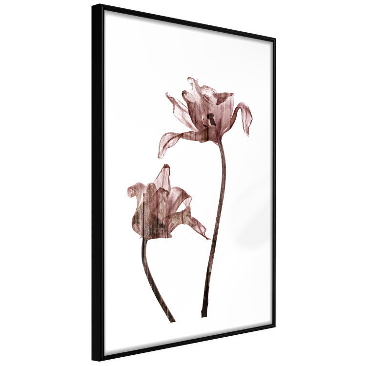 Poster Translucent Closeness - botanical composition with powdery pink flowers 118272 additionalImage 11