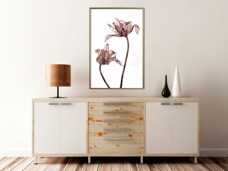 Poster Translucent Closeness - botanical composition with powdery pink flowers 118272 additionalImage 5