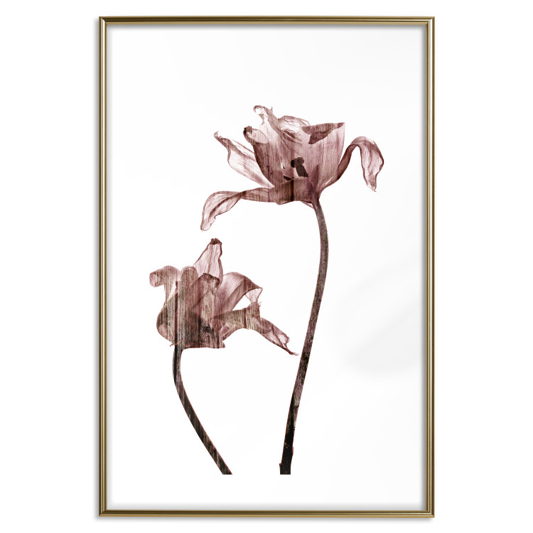 Poster Translucent Closeness - botanical composition with powdery pink flowers 118272 additionalImage 27