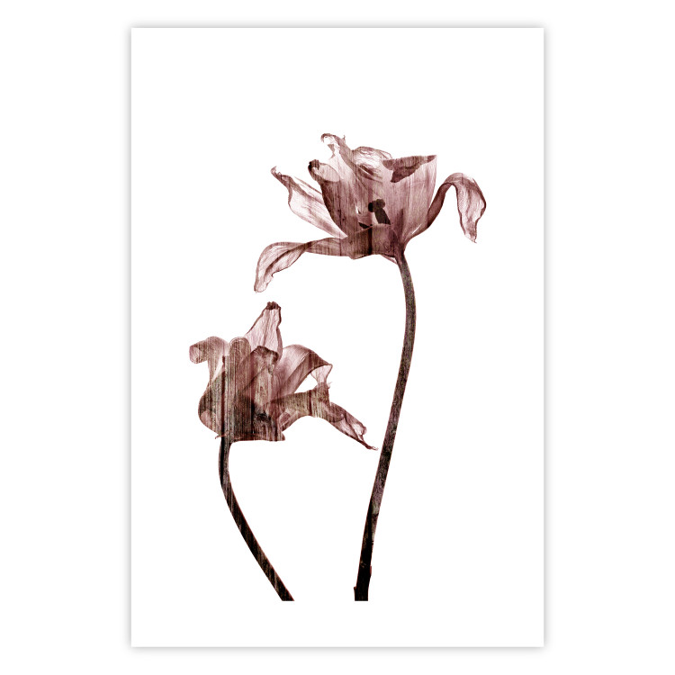 Poster Translucent Closeness - botanical composition with powdery pink flowers 118272 additionalImage 18