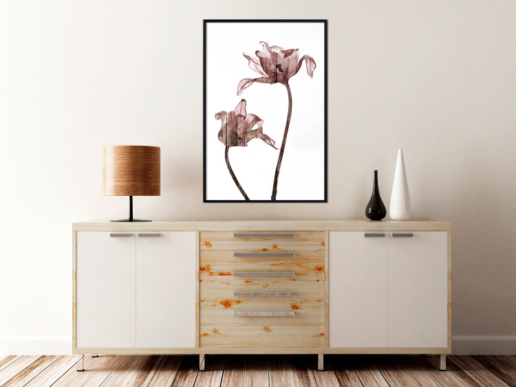 Poster Translucent Closeness - botanical composition with powdery pink flowers 118272 additionalImage 5