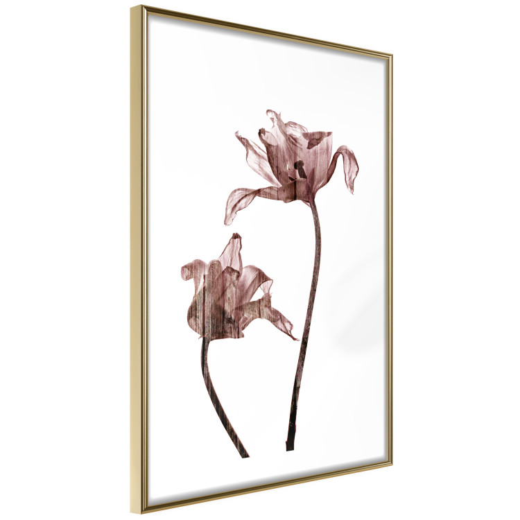 Poster Translucent Closeness - botanical composition with powdery pink flowers 118272 additionalImage 8