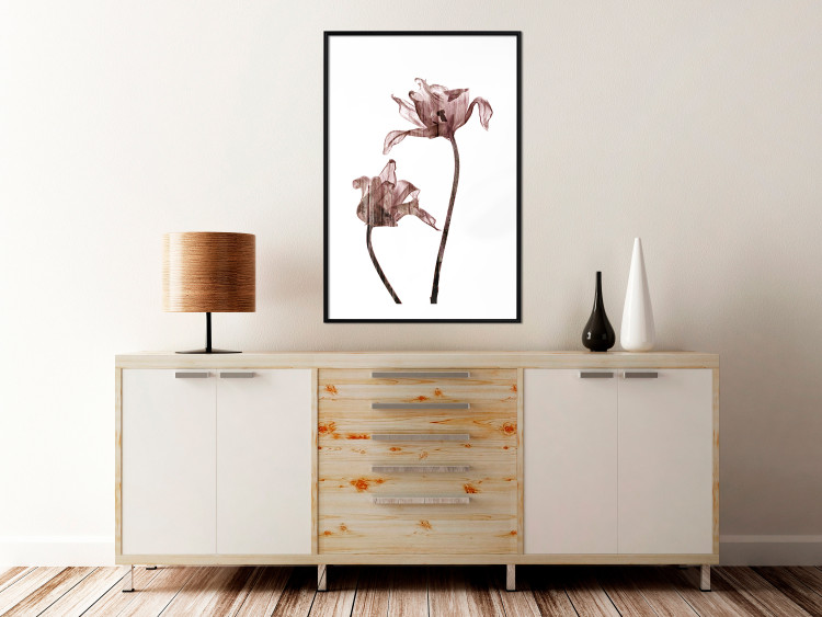 Poster Translucent Closeness - botanical composition with powdery pink flowers 118272 additionalImage 4