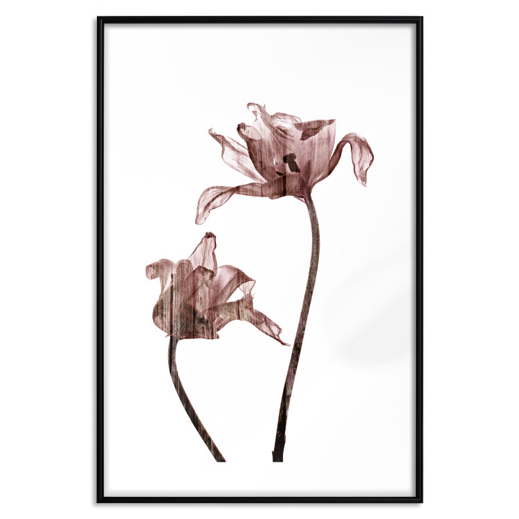 Poster Translucent Closeness - botanical composition with powdery pink flowers 118272 additionalImage 26