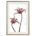 Poster Translucent Closeness - botanical composition with powdery pink flowers 118272 additionalThumb 23