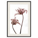 Poster Translucent Closeness - botanical composition with powdery pink flowers 118272 additionalThumb 22