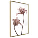 Poster Translucent Closeness - botanical composition with powdery pink flowers 118272 additionalThumb 14