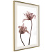 Poster Translucent Closeness - botanical composition with powdery pink flowers 118272 additionalThumb 2