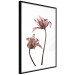 Poster Translucent Closeness - botanical composition with powdery pink flowers 118272 additionalThumb 13