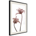Poster Translucent Closeness - botanical composition with powdery pink flowers 118272 additionalThumb 3
