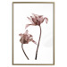 Poster Translucent Closeness - botanical composition with powdery pink flowers 118272 additionalThumb 20