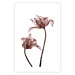 Poster Translucent Closeness - botanical composition with powdery pink flowers 118272 additionalThumb 15