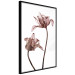 Poster Translucent Closeness - botanical composition with powdery pink flowers 118272 additionalThumb 10