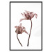 Poster Translucent Closeness - botanical composition with powdery pink flowers 118272 additionalThumb 19