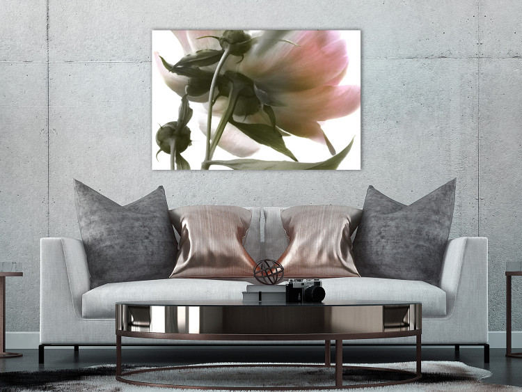 Canvas Print Peony Elegance (1-part) - Blooming and Delicate Flower Nature 122672 additionalImage 3