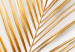 Wall Poster Golden Palms - tropical golden leaves on a contrasting white background 125872 additionalThumb 9