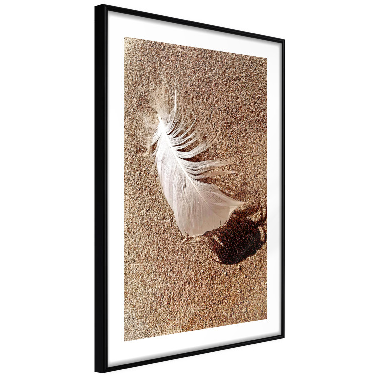 Poster Feather on the Sand - seascape of a beach with a white feather in bright light 130372 additionalImage 6